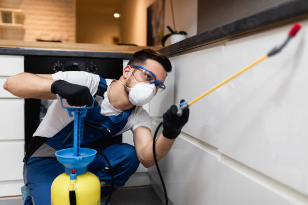 Best Mosquito Control Services  in Grangeville, ID