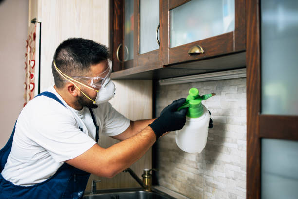Best Commercial Pest Control Services  in Grangeville, ID