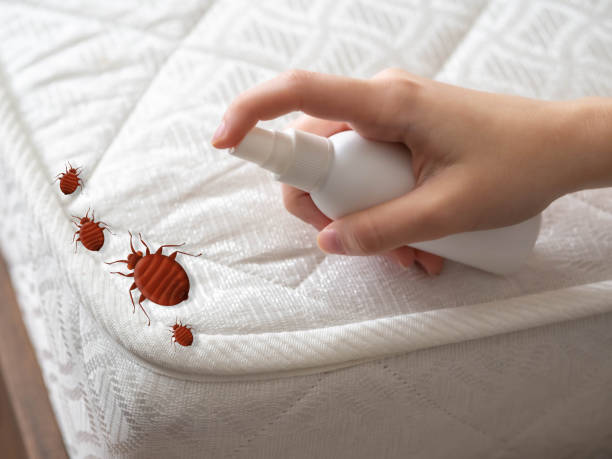Best Pest Prevention Services  in Grangeville, ID