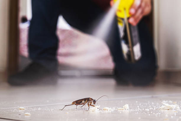 Best Wasp Removal Services  in Grangeville, ID