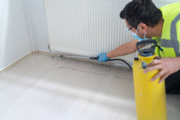 Best Wasp Removal Services  in Grangeville, ID