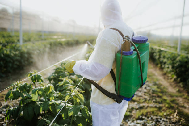 Best Pest Control for Homes  in Grangeville, ID